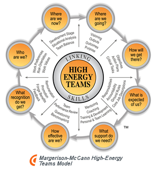 Margerison-Mc Cann High-Energy Teams Model